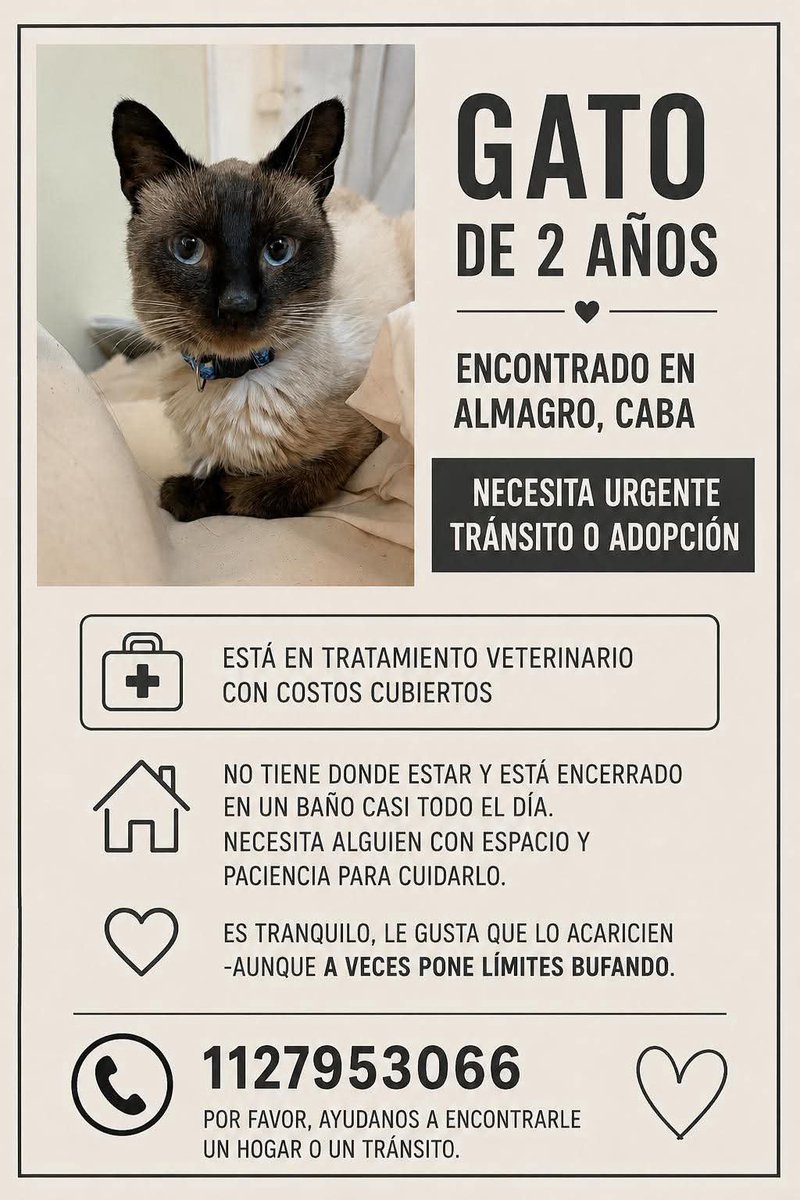 DeGatitos_ tweet picture