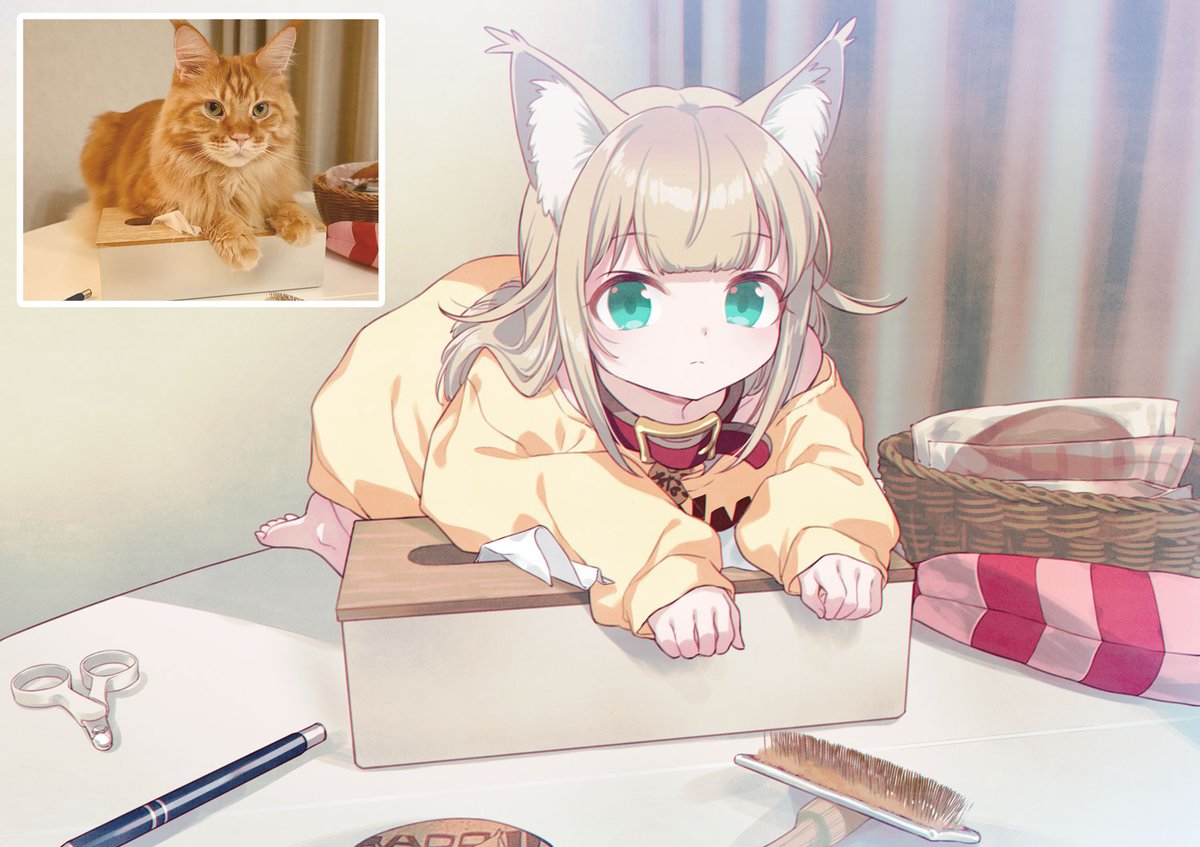40hara's tweet photo. ティッシュキャンセルねこ🐈🚪 https://t.co/jkeqUMTV4x
