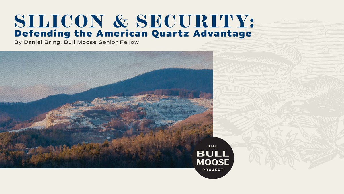 BullMooseProj's tweet photo. There is a town of two thousand people in the North Carolina mountains that the global chip industry cannot function without. 

Almost nobody in Washington can tell you its name.

Here is how China is stealing our wealth, and Washington turns a blind eye 🧵 https://t.co/tPoJt8VdAo