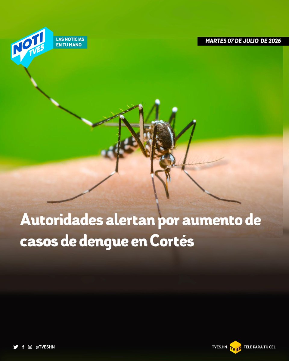 TVEShn's tweet photo. #tvesteinforma | Te presentamos nuestra portada de noticias para mantenerte informado de una forma veraz.

#noticias #honduras https://t.co/Q6tMHaWGAS