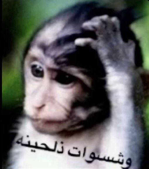 lostwithiin's tweet photo. قاعده اجدول عليها واسحب كلام
بس تعلقت بالغلط https://t.co/5bc21mKKdM