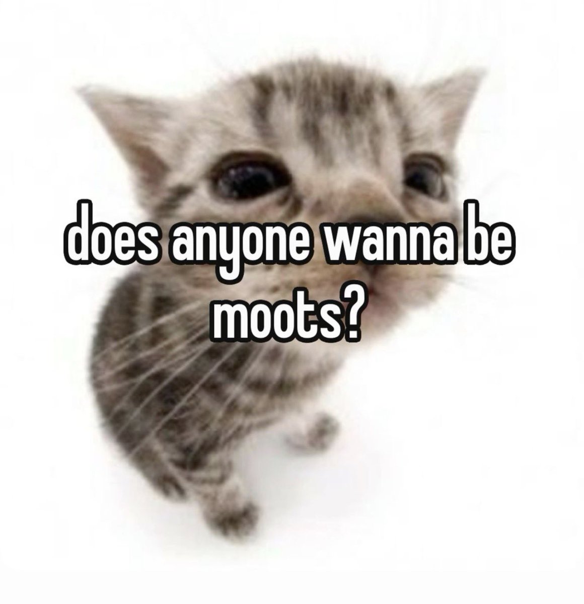 IISAVORA's tweet photo. I need active overwatch moots :3 RAH

also please comment so I can add you to my moots list <3
#owtwt #overwatch https://t.co/jBCRISpYUT