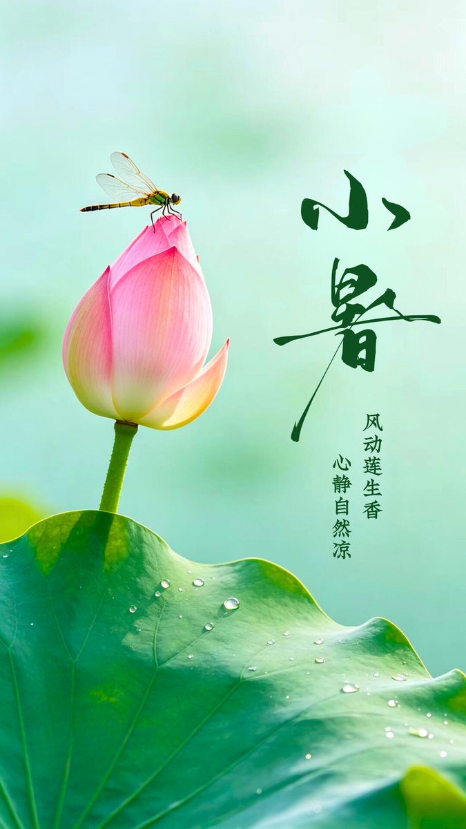 a77861705's tweet photo. 今日小暑 https://t.co/NRlydBn6Td