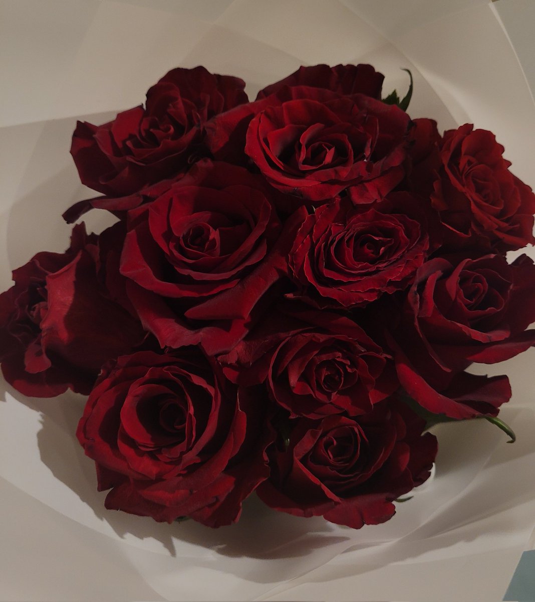 Gadooy_'s tweet photo. 🌷🌸🌺💐🪻🌹 https://t.co/uAKVXe8vWS