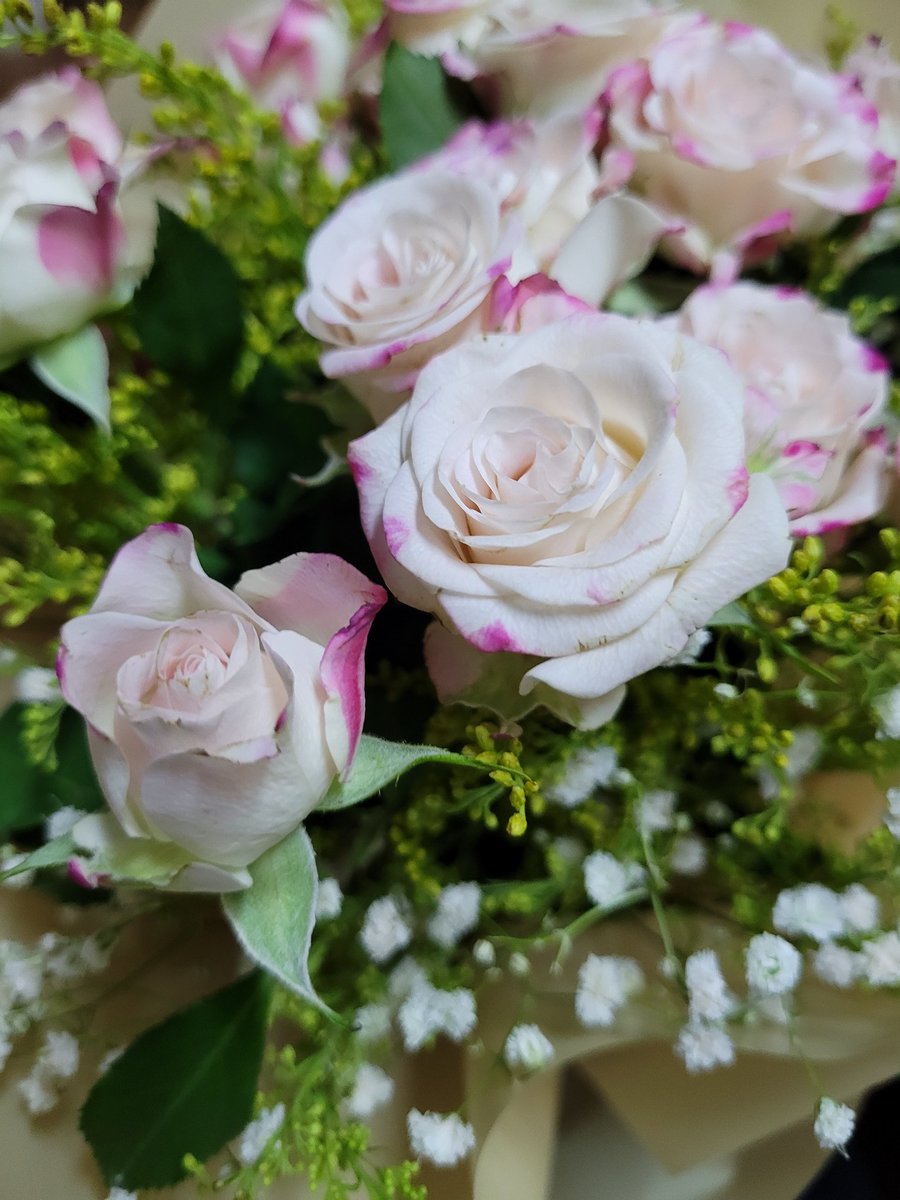 Gadooy_'s tweet photo. 🌷🌸🌺💐🪻🌹 https://t.co/uAKVXe8vWS
