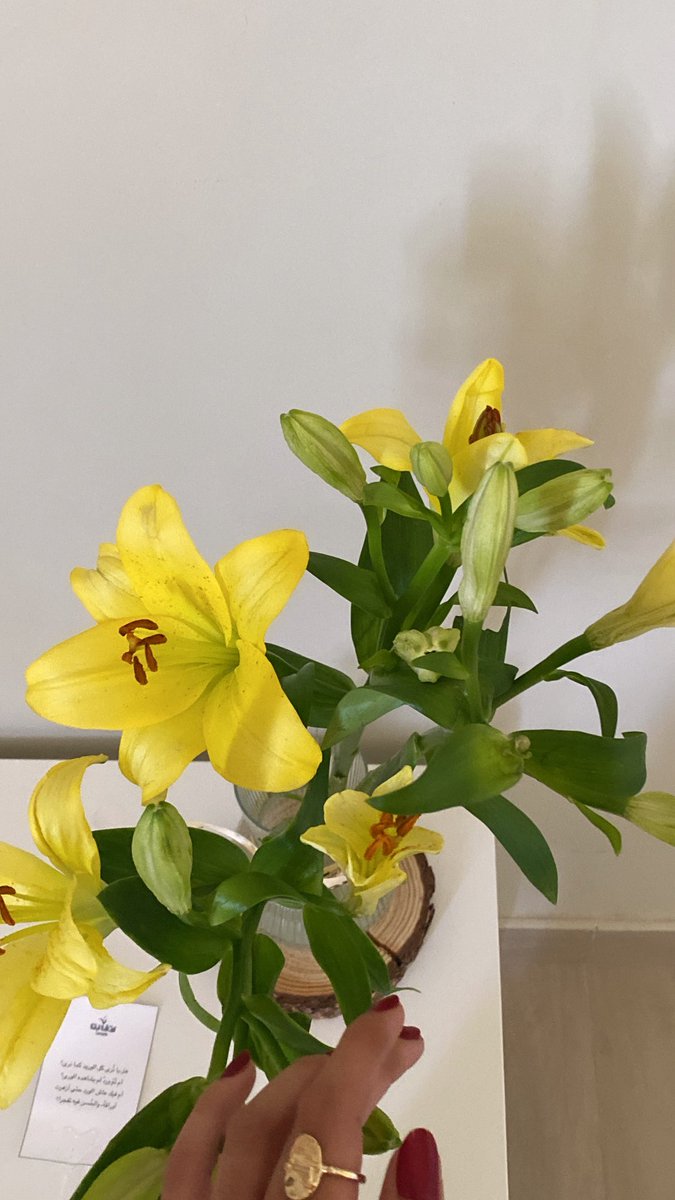 llxux7_'s tweet photo. 🌻كأنكِ الشمسُ والإشراق يزهاكِ🌻 https://t.co/aVBfWYyDzG