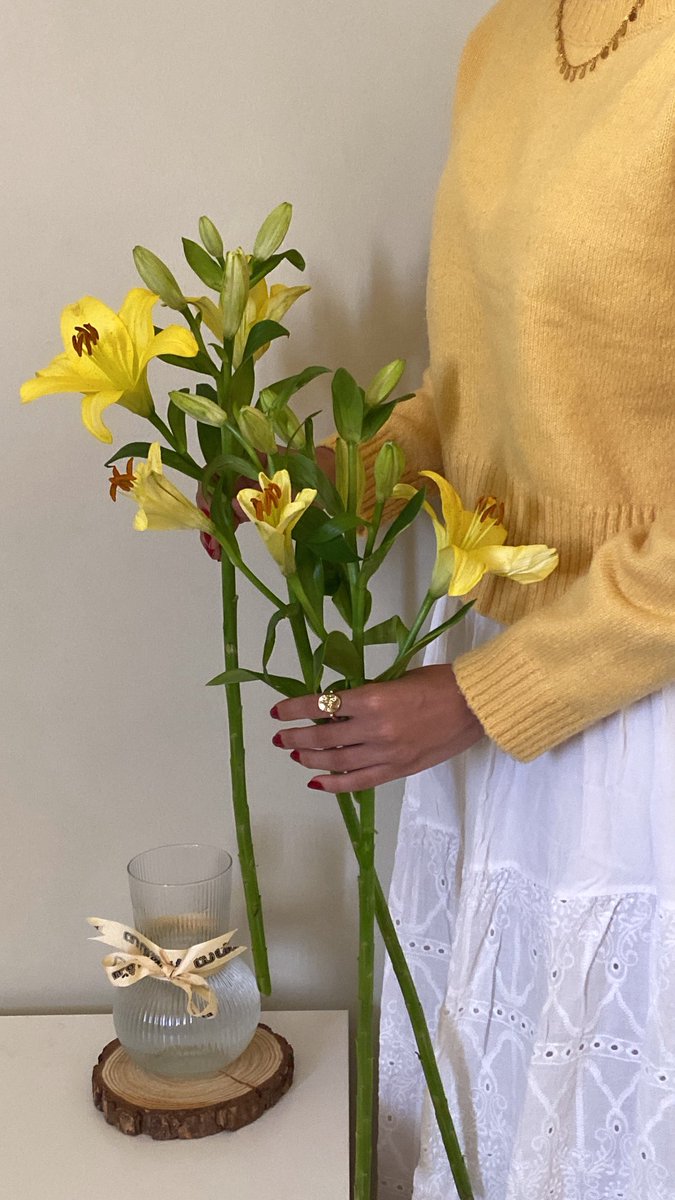 llxux7_'s tweet photo. 🌻كأنكِ الشمسُ والإشراق يزهاكِ🌻 https://t.co/aVBfWYyDzG