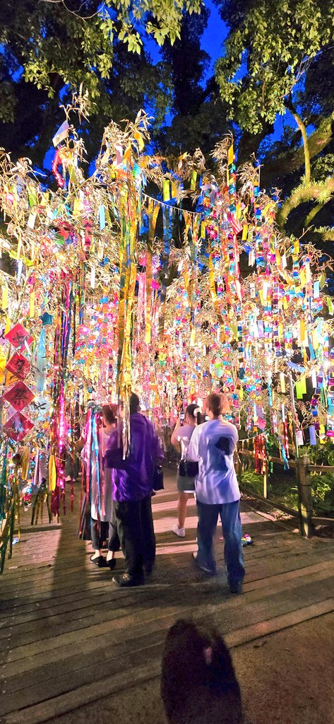 HARU20201216's tweet photo. ③1000万円欲しい→プラレール100個買いたいらしい
④家族が元気になるように→特に誰も病気とかではないけどありがとう(たぶん元気に過ごせますようにとか言いたかったのかな？)

たくさん書いたけど本命は
｢電車の運転手になりたい｣ https://t.co/l02O0Tdm90