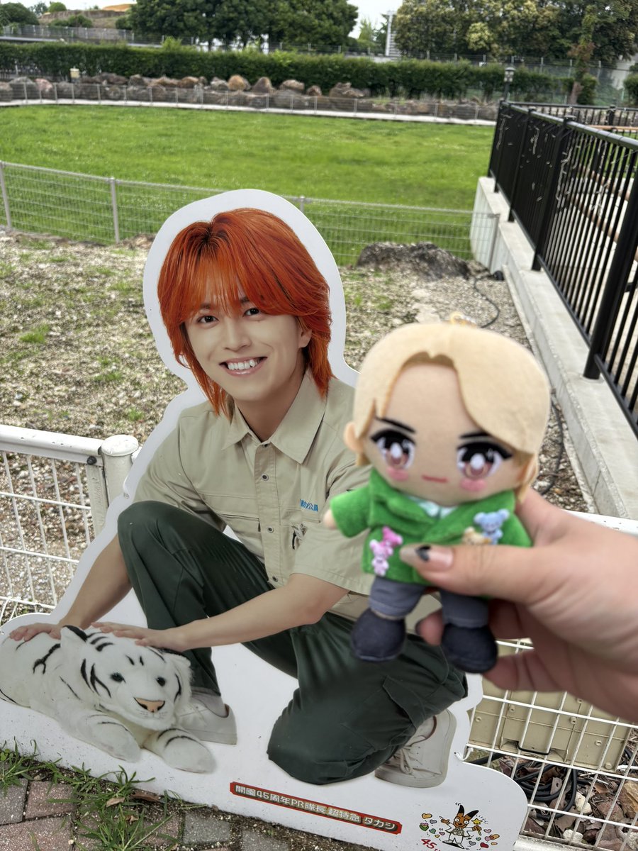y_j_____nt's tweet photo. しのちゃんとウシ活〜〜🍼💛ྀི🩵ྀི
じゅうたろさんが行ってた東武公で動物に挨拶して、タカシにも挨拶して(？)
塩レの行ったフラガへ〜〜🎶まさかの隣の席だったけども、座った席で写真撮らせてもらった💛ྀི🩵ྀི
またウシ活しようねえ🥰 https://t.co/GwGttMJg5k