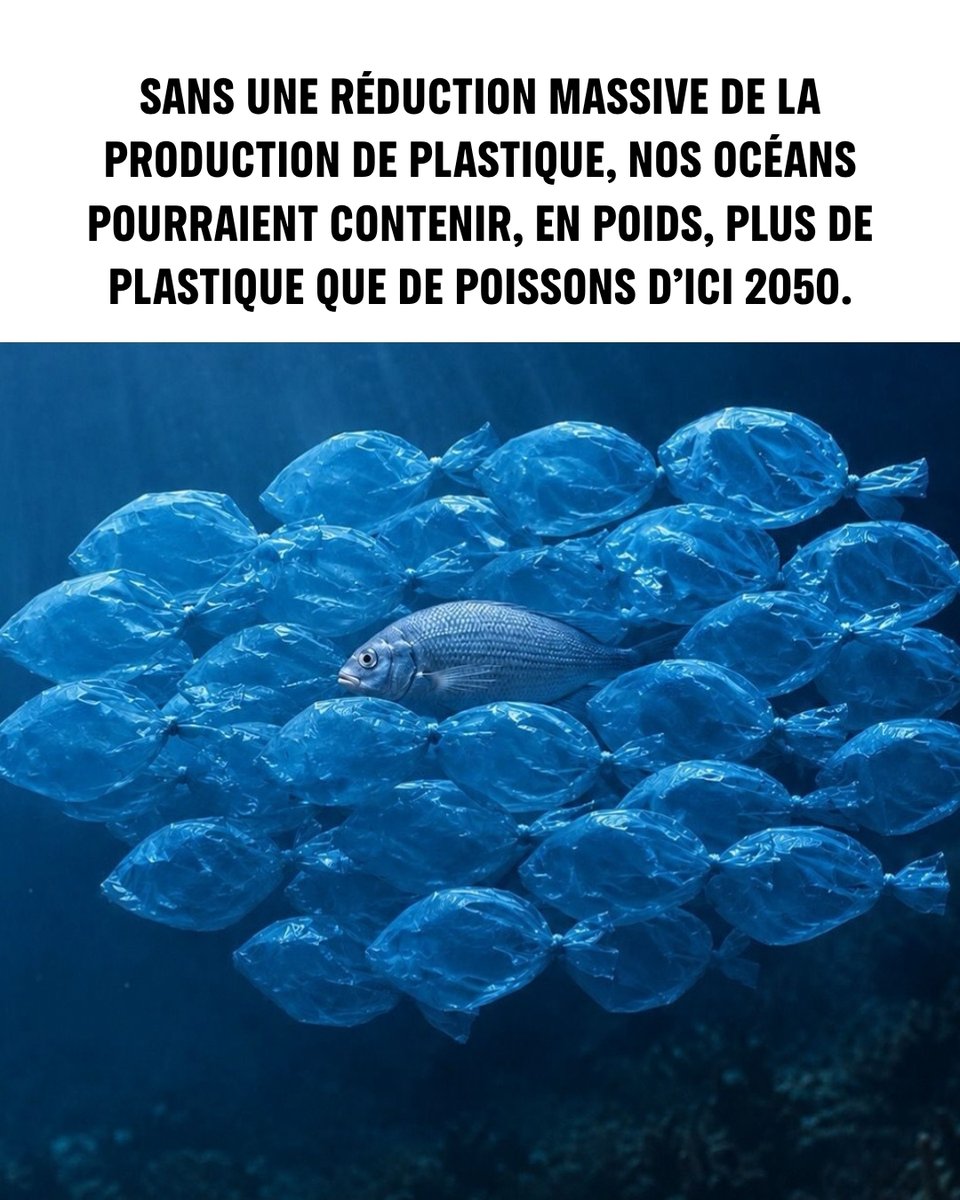 GreenpeaceAfrik's tweet photo. En 2050, nos océans pourraient contenir plus de plastique que de poissons en poids si nous poursuivons la même trajectoire.

La pollution plastique menace déjà la biodiversité et nos communautés. 

Réduisons la production à la source.

 📷: natgeoindia https://t.co/FszyGH2t4Q