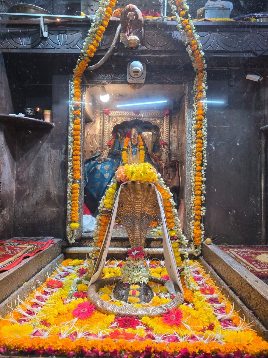 12Jyotirling's tweet photo. श्री ॐकारेश्वर ज्योतिर्लिंग संध्याकालीन आरती श्रृंगार | 07.07.2026

Shri Omkareshwar Jyotirlinga Evening Aarti Shringar | 07.07.2026 https://t.co/Ce8mzOfINe