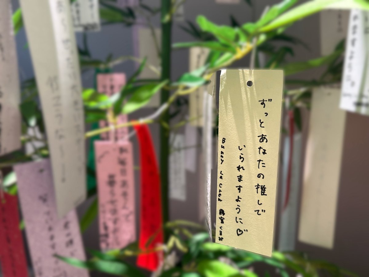 mm_lin39's tweet photo. 君の袖だけ
絶対に離さないよ https://t.co/gKUwDqOrSv