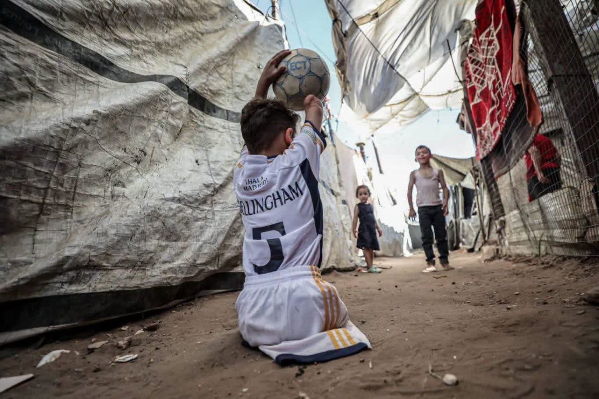PalinfoAr's tweet photo. #صور| الطفل محمد سعيد شعبان، (9سنوات)، يلعب الكرة بعد فقدان ساقيه وذراعيه خلال العدوان الإسرائيلي على قطاع #غزة. https://t.co/bwb3T6QsHe