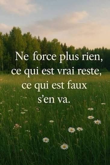 BerbessouLoic's tweet photo. À méditer 🧘 

Ne force plus rien, ce qui est vrai reste, ce qui est faux s'en va. https://t.co/hcVUI0s6H8