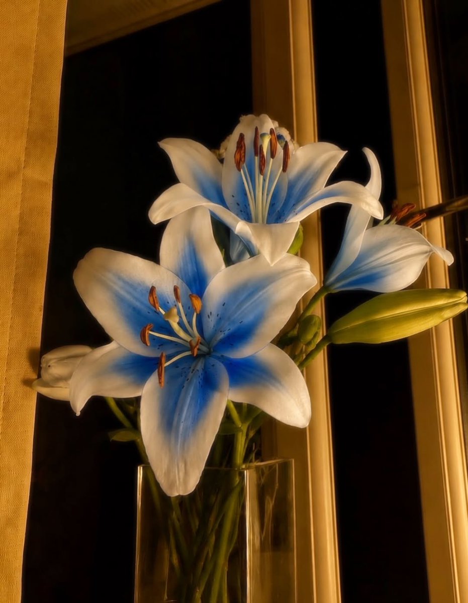 bloomifyyy's tweet photo. https://t.co/joqKxmzDzD