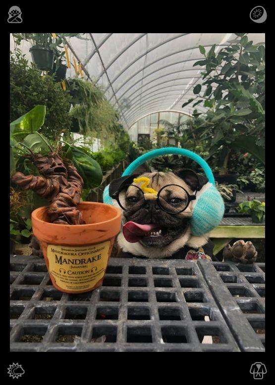 hashmisajidm's tweet photo. Sculpture Exhibition: The sculptures are unique. The zoo's rest areas and viewing platforms offer tourists a comfortable experience, making it easy to appreciate the animals' vitality from a close distance. https://t.co/IxmqYrqMYe