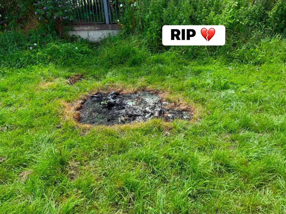 MyLovelyHorseR's tweet photo. RIP POOR DOG 💔💔😡😡

We've seen so many posts about the poor dog found in Ballymun, and like everyone else, we're heartbroken.💔
The truth is, we don't know exactly what happened. We don't know how the dog died or whether it had already passed away before it was burned. We sincerely hope it did not suffer.
What we do know is that no animal deserves to be treated this way, whether in life or after death. It is deeply upsetting to see any animal discarded with so little dignity.
We've been in touch with An Garda Síochána  in Ballymun and have also spoken to local people, but at this stage no one seems to know exactly what happened. Until the facts are established, we don't want to add to speculation or spread misinformation.

If you have any genuine information or strong evidence that could help, please contact Ballymun Gardaí directly. We have spoken with them, and they are committed to finding out exactly what happened. They are encouraging anyone with credible information to come forward, and any information provided will be treated in the strictest confidence.
We would also like to say a sincere thank you to keith boyce for kindly going to cover the dog's body. It was a compassionate act at a very sad time, and we truly appreciate his kindness. The dog was a brindle Staffie type. 💔💔
By working together, we hope the truth will come to light. Sadly, animal cruelty is a reality in Ireland, and every day there are animals suffering in silence. We all have a responsibility to protect them, speak up when something isn't right, and support those working to investigate cases like this.
Our thoughts are with this poor dog, and we hope the truth is uncovered.
💔💔💔💔💔💔💔💔💔💔