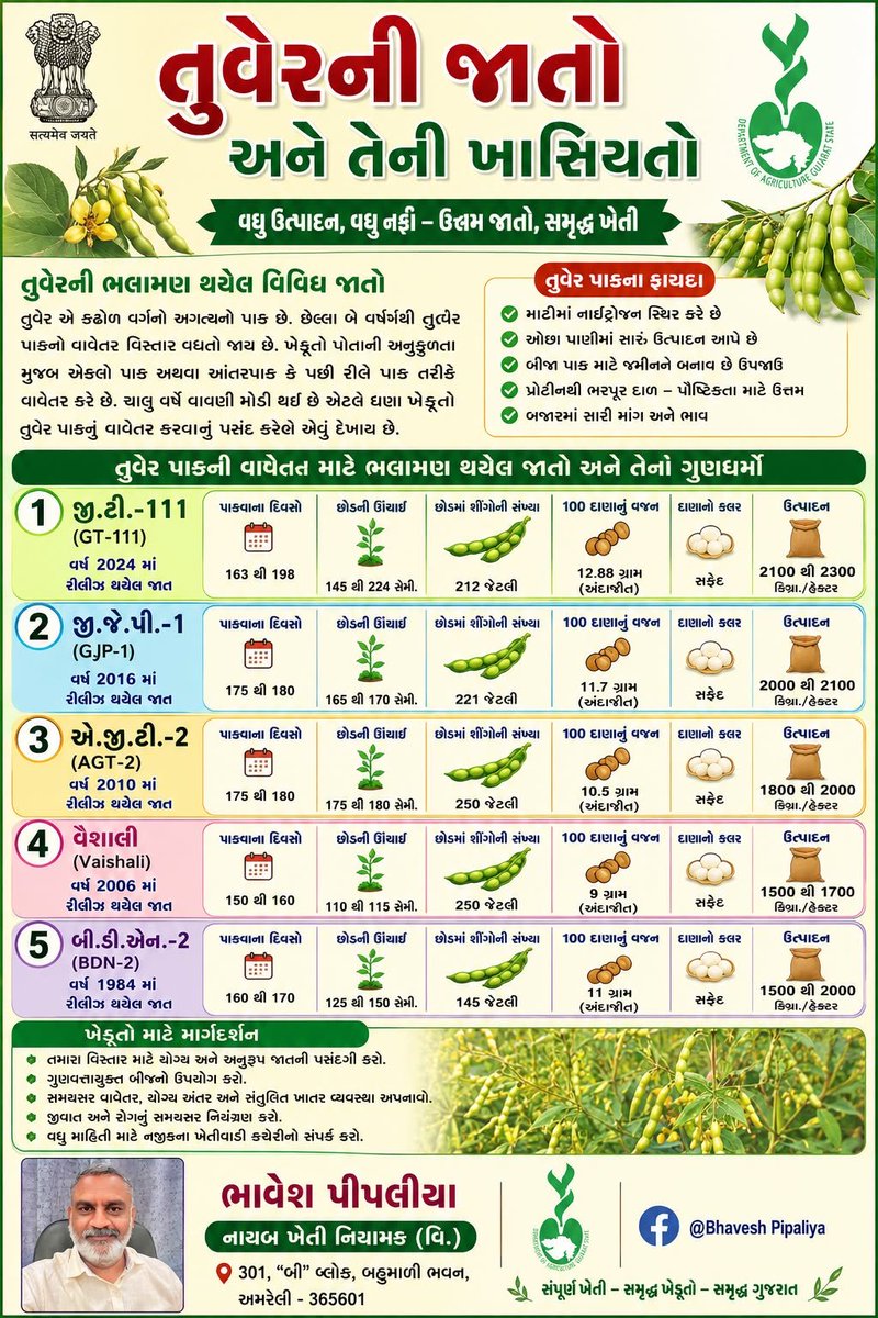 ddaamreli's tweet photo. તુવેરની જાતો અને તેની ખાસિયતો 
@infoamreligog @InfoGujarat
@CMOGuj @CollectorAmr @ddoamreli @GujAgri @agriamreli01 
#agriculture #agriculture_technique #gujagridept #cmogujarat https://t.co/9EyNJEjLlI