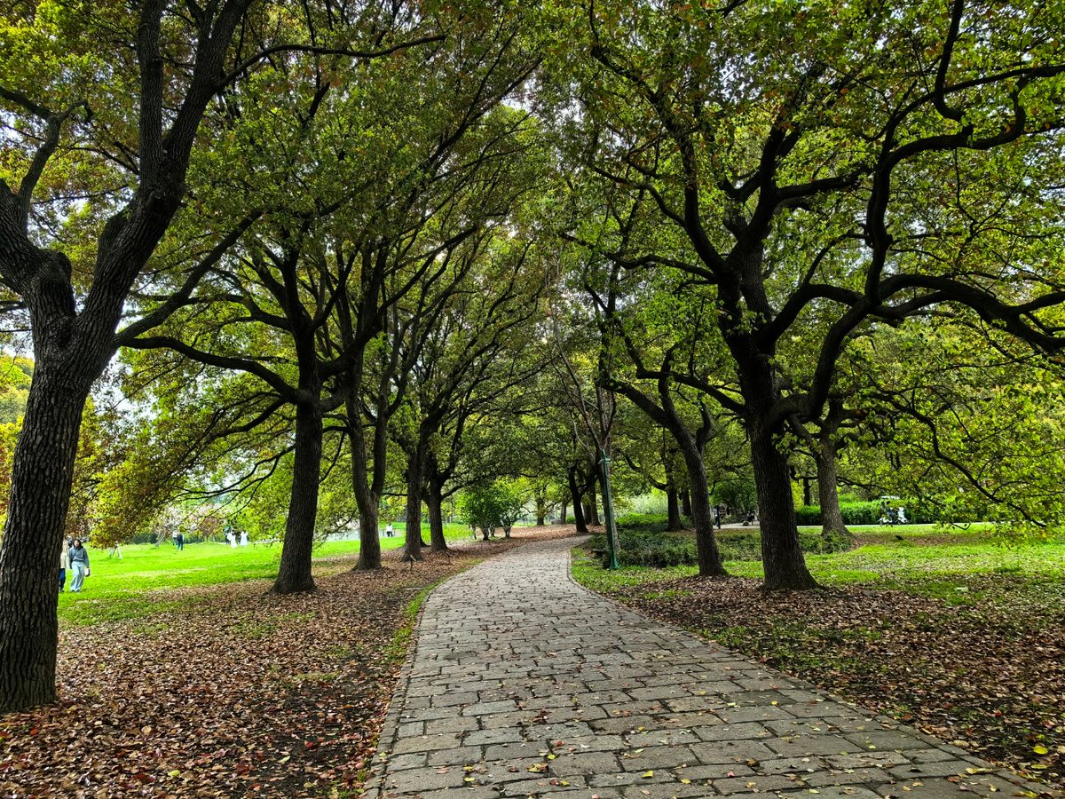 AngelaClROI81O's tweet photo. Just had a 10-minute walk in the park and the sun on my face fixed my whole week’s mood—small wins hit different.， https://t.co/TCs04ZDLKA