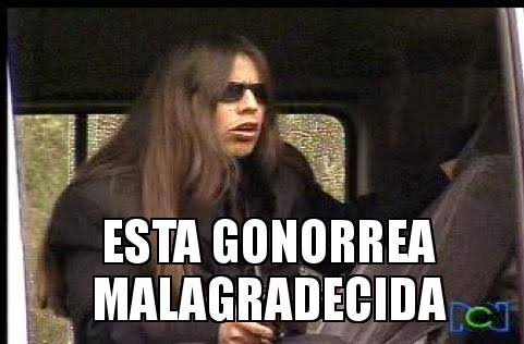 𝘼𝙣𝙙𝙧𝙚𝙖⁷⁼¹🇨🇴 ᵛᵉʳᵃ ᵃ ᵇᵗˢ ⊙⊝⊜ tweet media