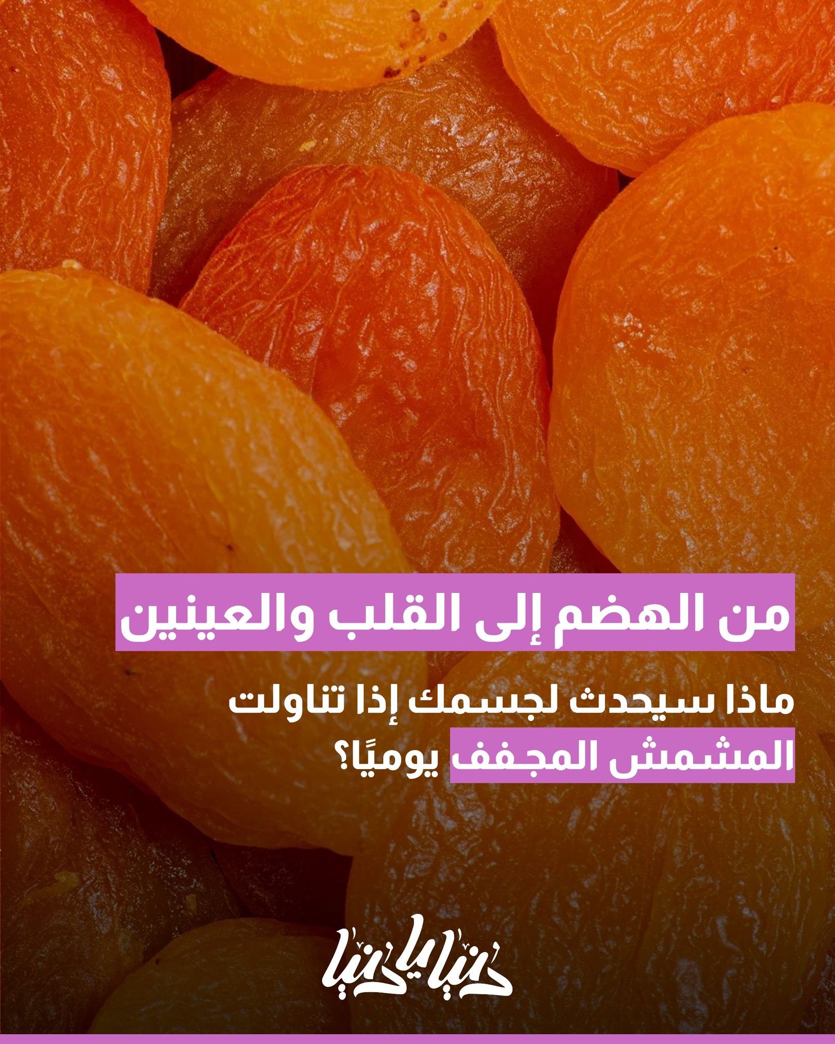 من الهضم إلى القلب والعينين.. كيف يؤثر المشمش المجفف يوميًا على صحتك؟ 