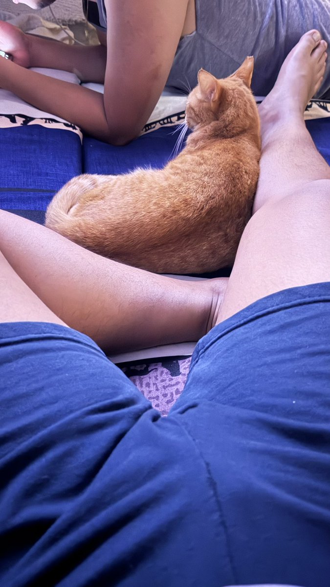 regbvargas's tweet photo. Lapitin ng 😻 https://t.co/n6ywAxzuhL