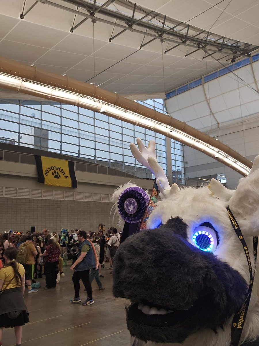 wayne_durr's tweet photo. Back to work from #anthrocon  PCD starts now https://t.co/vDCwBfixdk