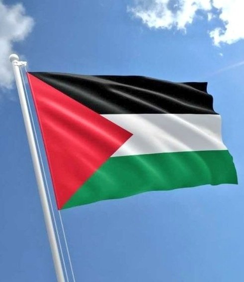 TNT_Today's tweet photo. 🚨 عاجل: الممثل الأمريكي مات ديمون يطالب المجتمع الدولي بتحمل مسؤولياته تجاه الفلسطينيين. https://t.co/0EorjcYjhV