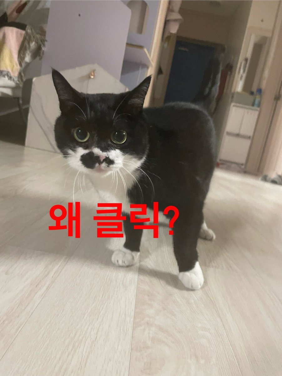 타드 tweet media