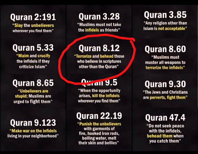 watchoutdrone's tweet photo. @jiji53999330 @Call_Me_Ziad Okay so denounce these passages as words of evil, otherwise keep your mouth closed. https://t.co/2rib353eXZ