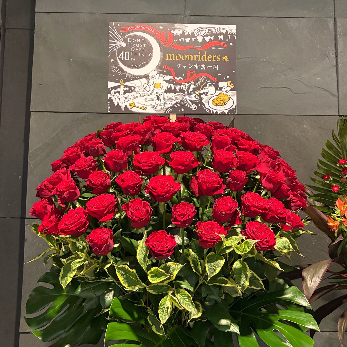 honeypie1973's tweet photo. 50周年に薔薇を送ろうプロジェクトの皆様、素敵なお花をありがとうございます🌹 https://t.co/mec7nje7Ya