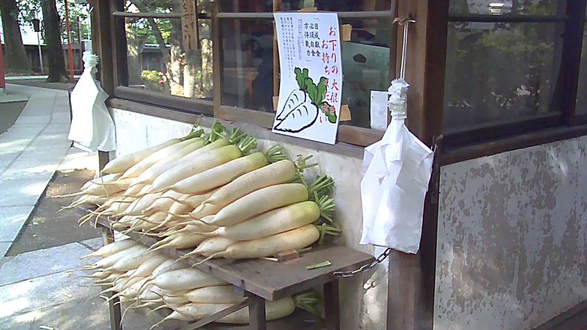 haga_run's tweet photo. 最近トイカメラにハマってます。

良い写真が撮れるってよりも、おっきいカメラの起動音とシャッター音に笑いながら、わざわざトイカメラを取り出して撮るちょっとした手間のおかげで、楽しい瞬間をより思い出せる感じが好きです。

下手くそで良き写真が増えていく。
エモエモのエモです😌💭 https://t.co/Lk6xScPbwu