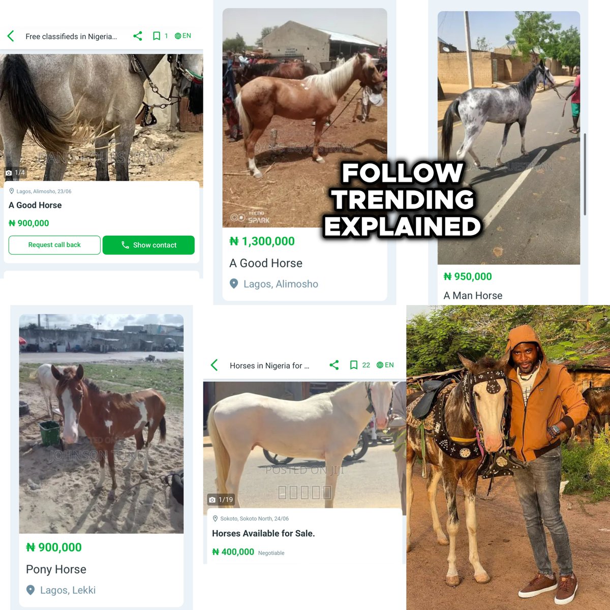TrendingEx's tweet photo. Ibrahim Chatta is trending because the filmmaker has caused a stir after saying he owned over 48 horses, but lost 28.

Twitter analysts say it is impossible, because horses are expensive. — Actually they’re not that expensive.

A young untrained horse is ₦350-500k. A healthy trained riding horse is ₦900k to ₦1.5M or higher, and even more expensive if they are foreign breed or for sport. Which could tower around ₦5-7M.

In 2024, Chatta shared a video of his farm flaunting more than 30 young horses, rams and cattle. 

Hinting he perhaps got some younger; reared and personally trained them. Which pushed most of his operating cost to their feeding. — as he’s seen lamenting in the video.

Considering that horses are living things, they also reproduced, which supposedly adds more to their numbers.

Follow @TrendingEx for daily explanations!