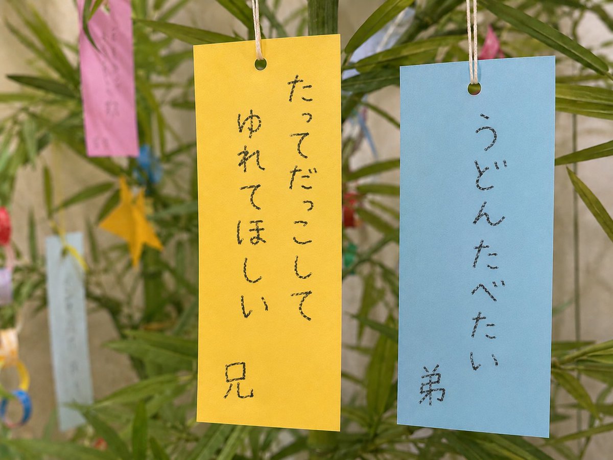 __nknw's tweet photo. 今年の双子の願い事。 https://t.co/SJLpXr8S6W