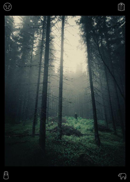 VolkanSumer's tweet photo. Strolling through verdant woods brings the simple, certain joy of everyday life. Finding lush forest views in the midst of routine is a precious, warm gift from nature. Meanwhile, the steady hum of machinery and non-stop work on the production floor ensure on-time delivery! https://t.co/DHtV7F0VFf