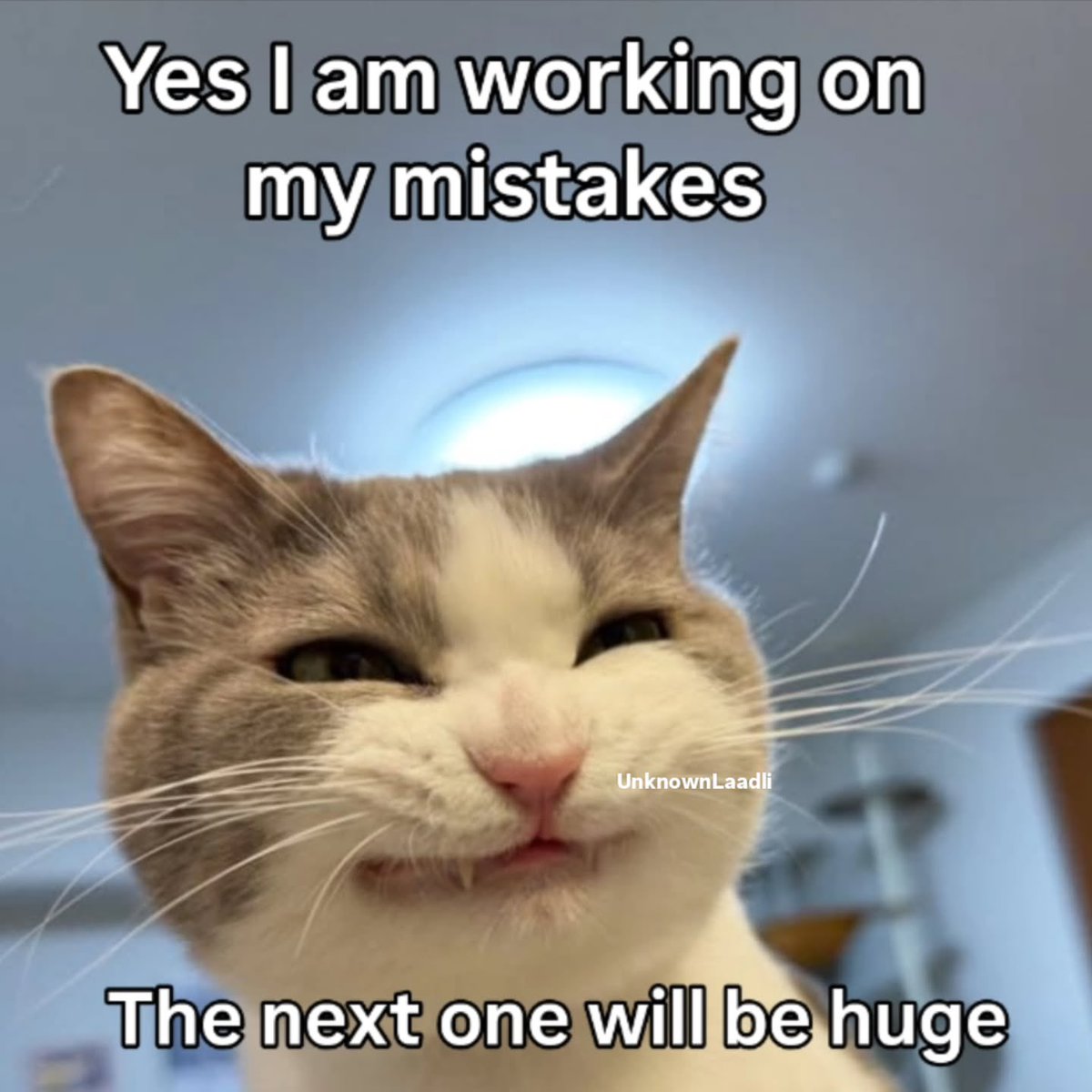 literallymecats's tweet photo. https://t.co/Zc15UKBORv