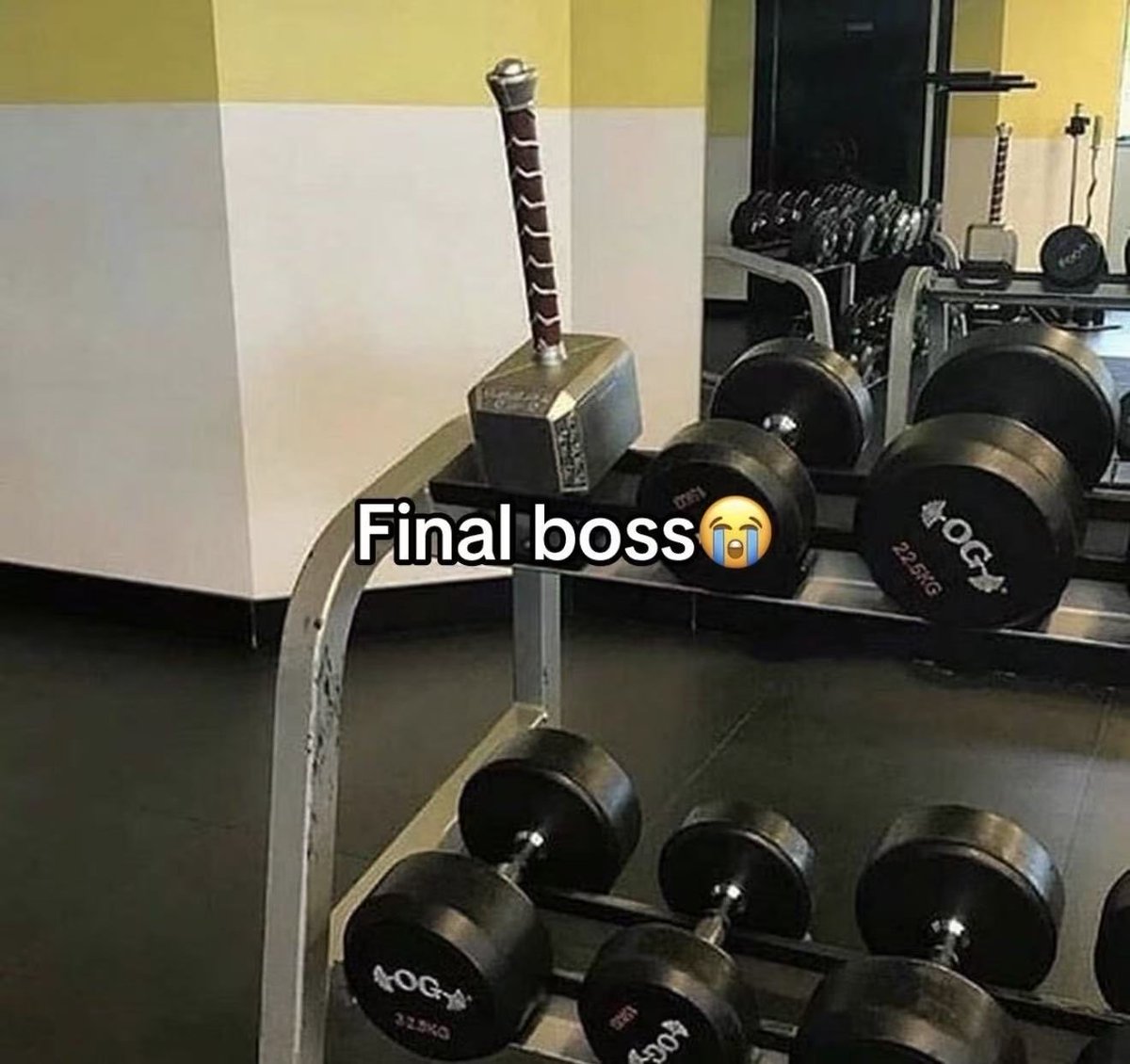 Xk4Ng's tweet photo. lmao🤣 #gym #master #femdom #submissive https://t.co/G7Ee8eGEPG