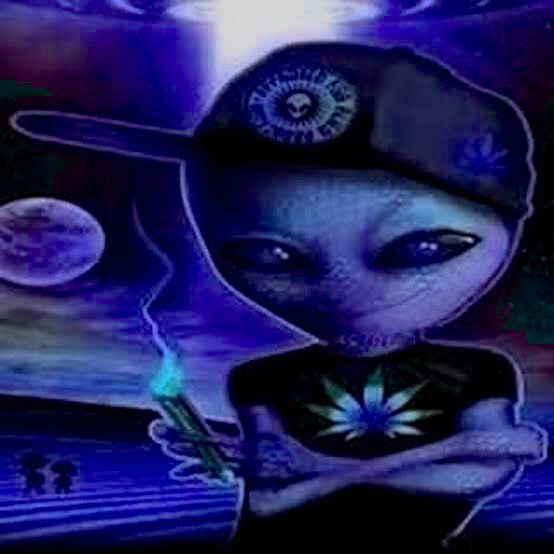 Acid tweet media
