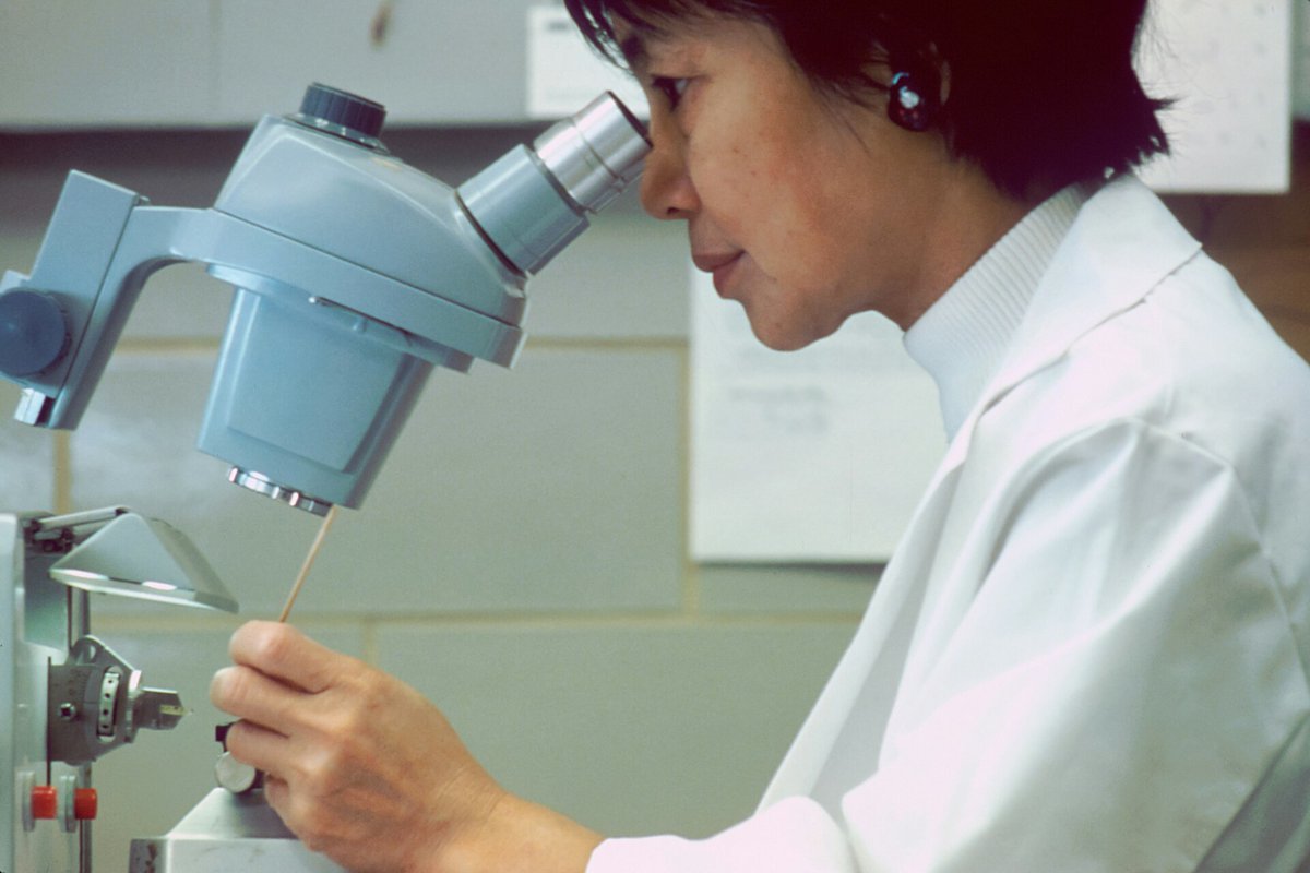 criticalapp's tweet photo. FRCPath trainees - critical appraisal is a core component of your fellowship exams.
We offer bespoke pathology training across Medical Microbiology, Haematology, and Chemical Pathology.
https://t.co/R5ovjUT9Bq
#FRCPath #Pathology #CriticalAppraisal https://t.co/FrEcJORUZg