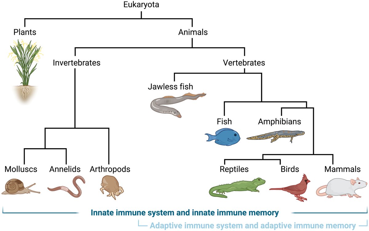 Science Immunology tweet media