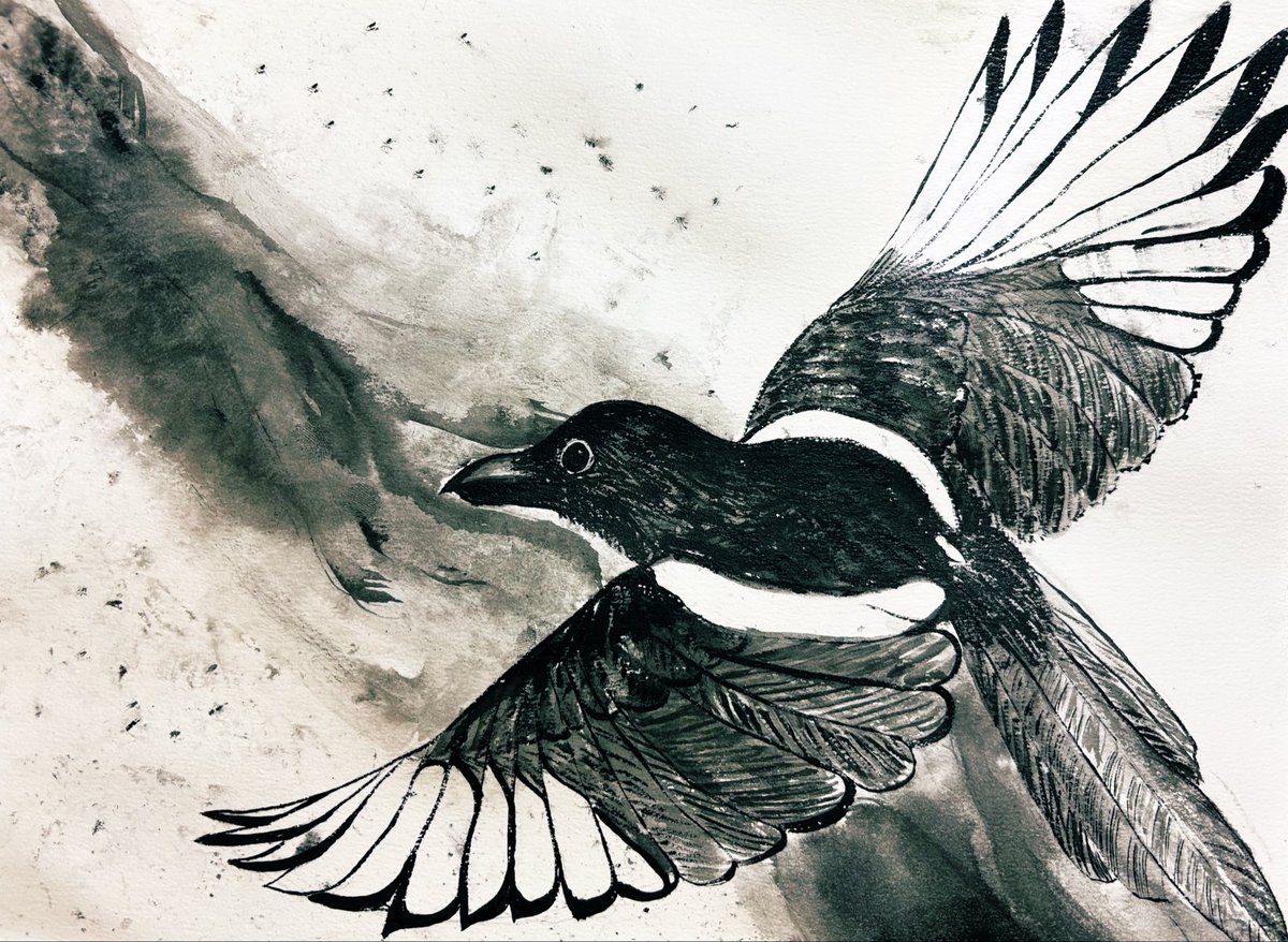 senzyu3's tweet photo. カササギ。
 #イラスト #墨絵 #カササギ
 #絵描きさんと繋がりたい https://t.co/MGFOY3PsTn