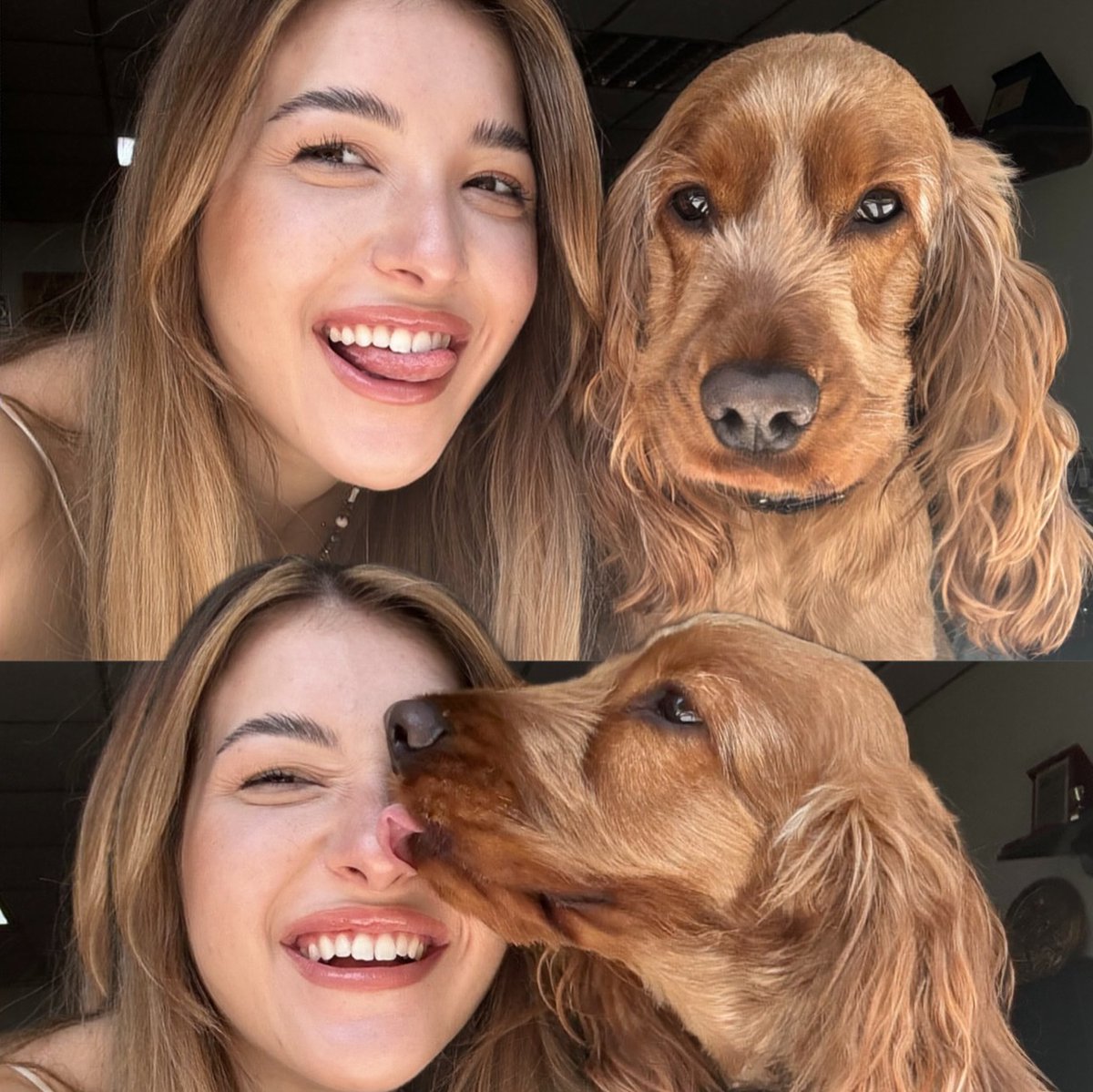 IvyMoonbj's tweet photo. The best relationships don't need to be deliberately proven.
They exist in the companionship of everyday life, in a gesture that brings you closer, and in that unwavering, absolute trust.
Time passes, but these tender moments remain in our memories forever. 🐶✨
#LifeMoments https://t.co/T1eIh0fS4F