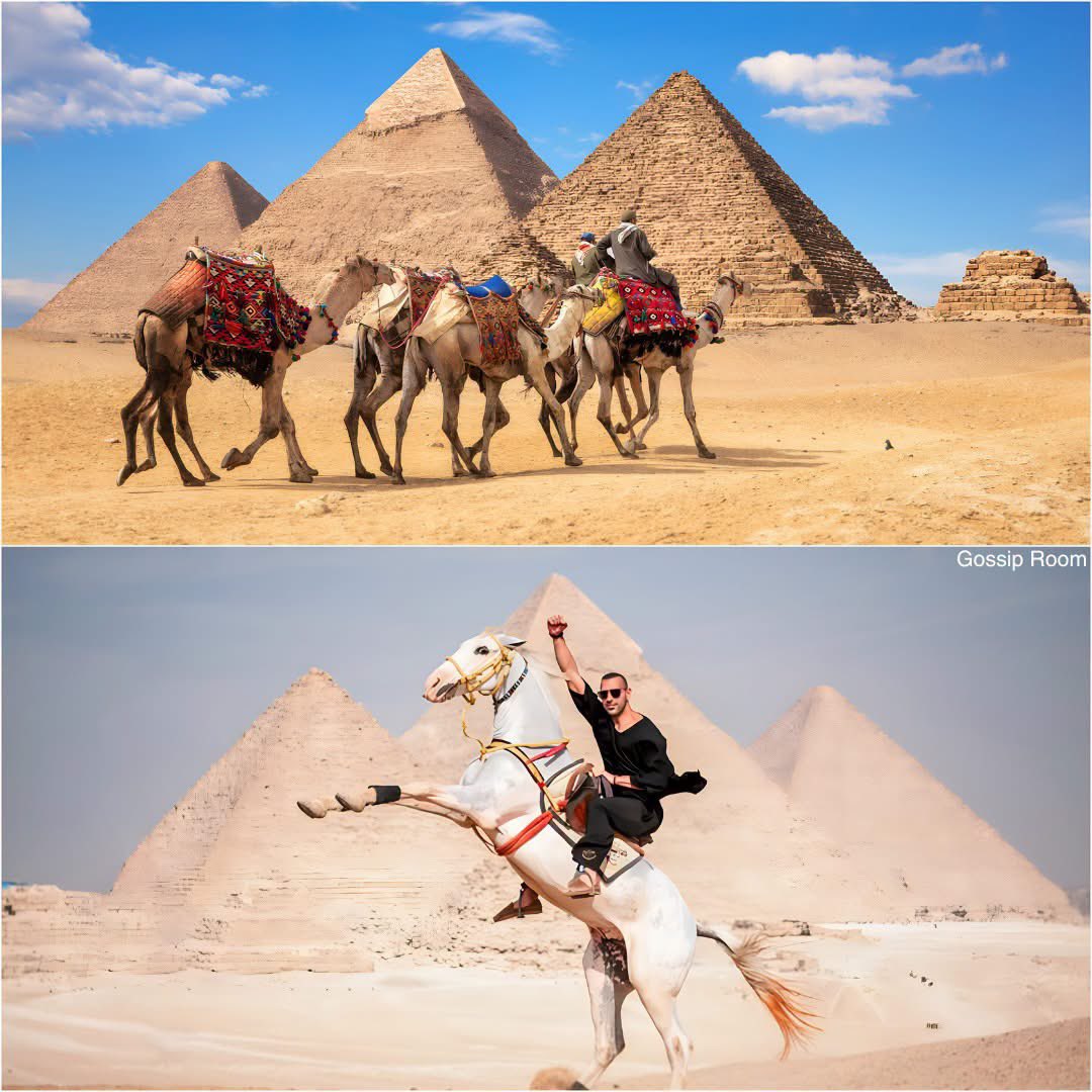 GossipRoomOff's tweet photo. 🚨 Heureuse nouvelle ! L’Égypte interdit les promenades à dos de chameau et à cheval aux pyramides de Gizeh afin de protéger les animaux. 

Les autorités ont décidé de remplacer ces balades par des bus et des voiturettes électriques afin de préserver les animaux, souvent exposés à la fatigue, à la chaleur et à de mauvaises conditions de travail. 

Cette mesure s'inscrit dans une volonté de développer un tourisme plus responsable, tout en permettant aux visiteurs de continuer à découvrir l'un des sites archéologiques les plus célèbres au monde dans de meilleures conditions. 👏🇪🇬 (via Viens on part loin)