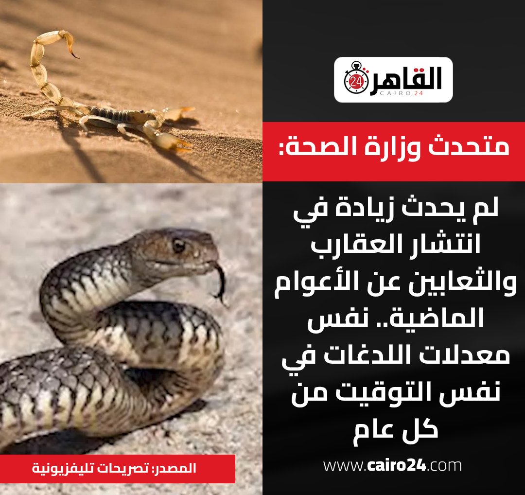 elnggar_saeed's tweet photo. التطبيع مع الفشل :( https://t.co/XcqiExq5MS