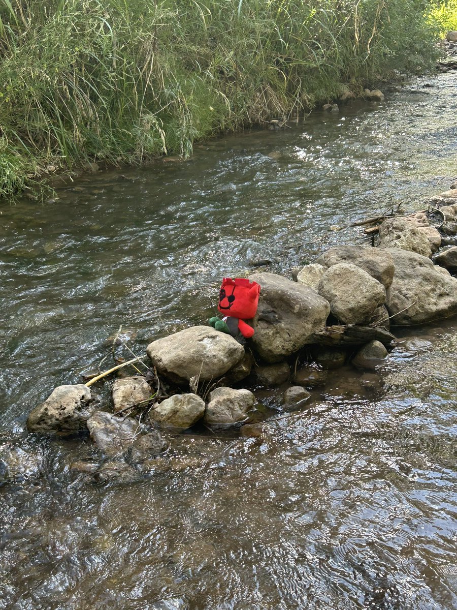 WilderMango's tweet photo. Took the Jx1dx1ling with me to go fishing! #ihasafacelulz https://t.co/ooJ58UvhGz