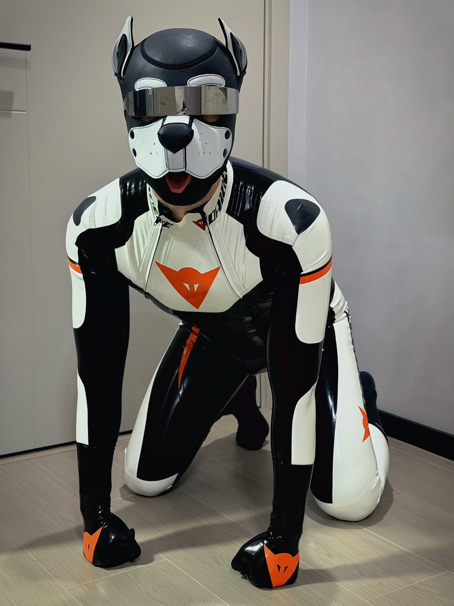 kane_rubber's tweet photo. 乳胶小狗来咯 https://t.co/3Iz0EfrJhl