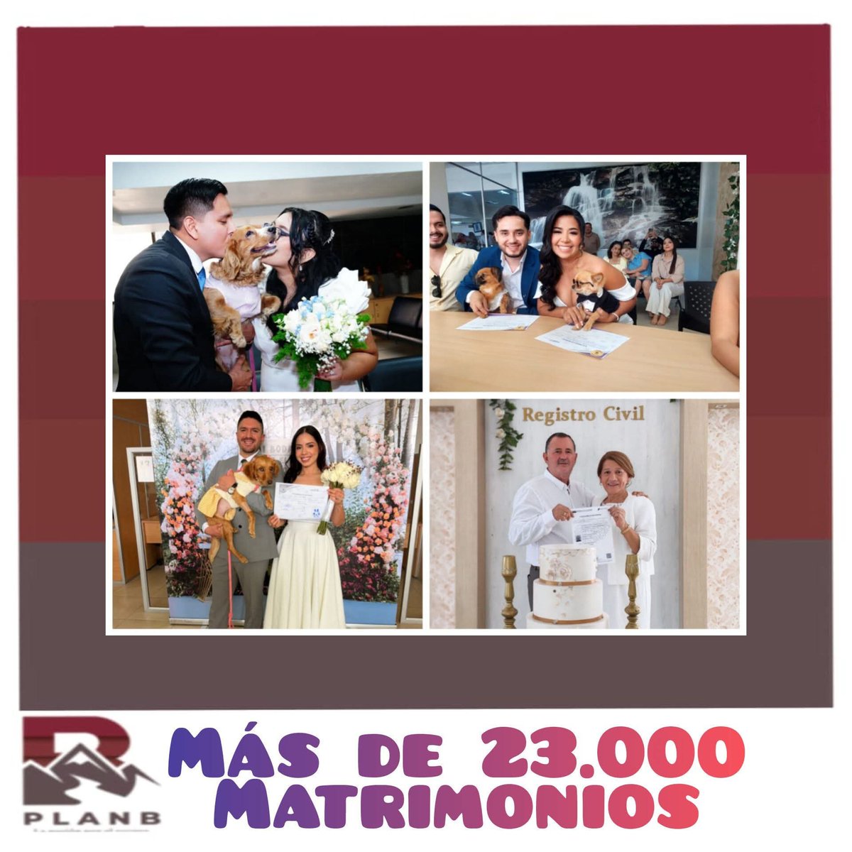 planbloja's tweet photo. En el Registro Civil,  en lo que va del año se  realizaron  23.737 matrimonios.
En el mismo periodo en Loja se casaron 660 parejas y hubo 446 divorcios. https://t.co/jEwdtYxn3H