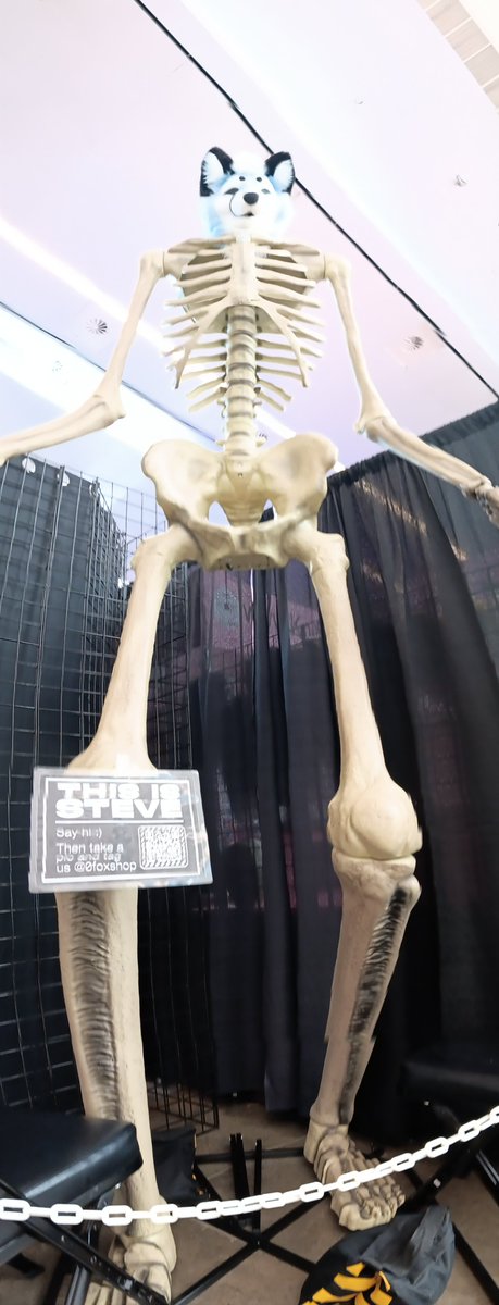 tanukiphant's tweet photo. @0foxShop Panorama of Steve from Anthrocon https://t.co/OjB983scaO