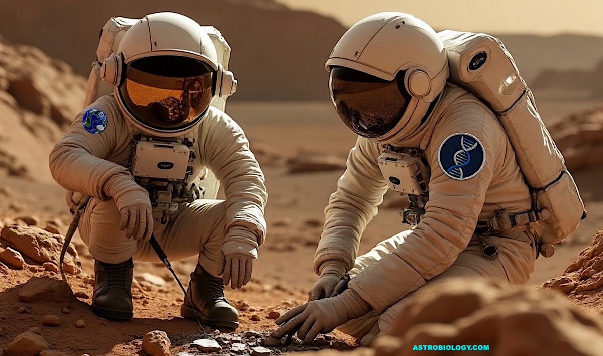 astrobiology's tweet photo. NASA Spaceline Current Awareness List #1,206 2 July 2026 (Space Life Science Research Results)
https://t.co/xCSSy1aLe6 #astrobiology #spacebiology #spacemedicine #microgravity #ISS https://t.co/B29tFcEJ9e