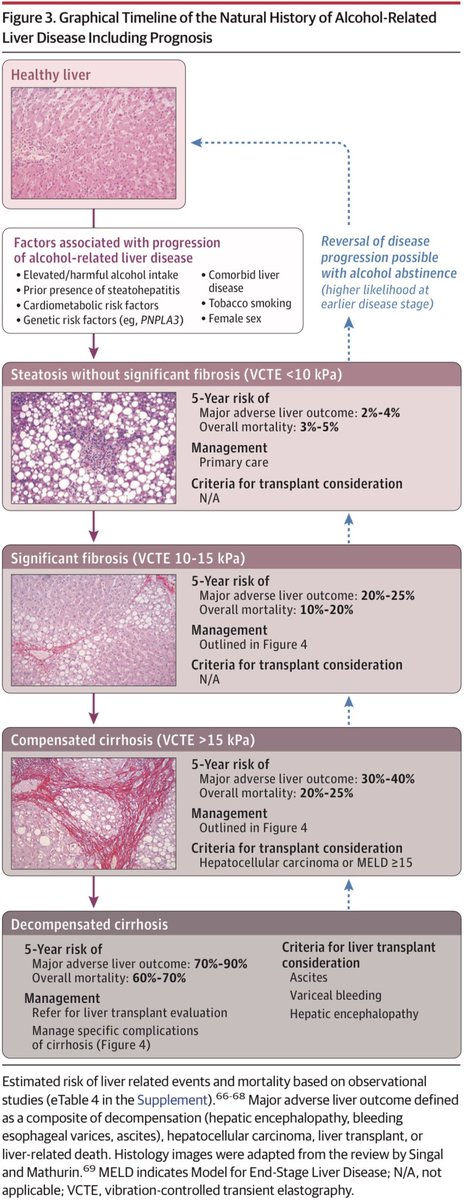 AmbrizMau's tweet photo. Enfermedad hepática relacionada con el alcohol: una revisión.

JAMA 2026; DOI: 10.1001/jama.2026.12038 https://t.co/M3LMjlmknU